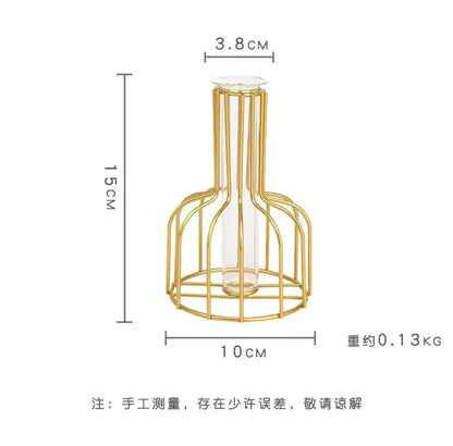 A slender transparent glass vase encased in an iron golden hydroponic cage with curved bars and open base by DecorBites