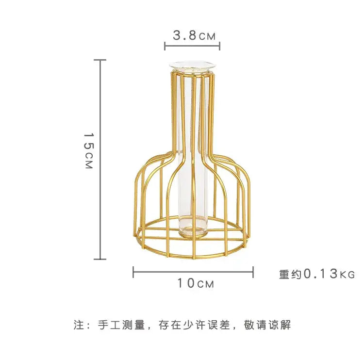 A slender transparent glass vase encased in an iron golden hydroponic cage with curved bars and open base by DecorBites