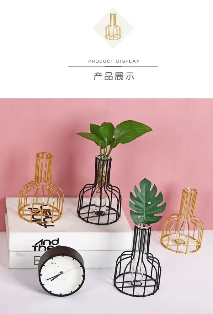 Black wireframe iron golden hydroponic vase with clear glass interior and green plant by DecorBites™ Nordic Hydroponic Vase