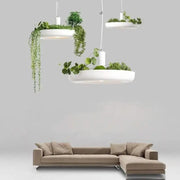 DecorBites™ white circular planter pendant lighting with integrated planters holding lush green foliage