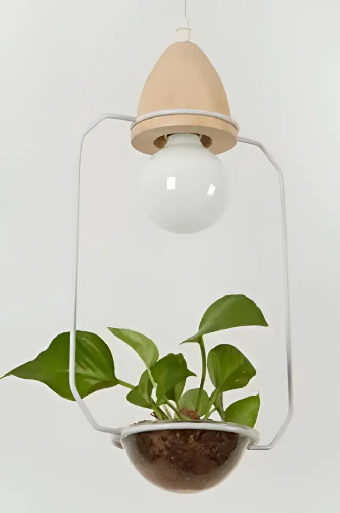A minimalist DecorBites™ pendant planter light with white bulb wooden top and metal wire frame hanging planter light