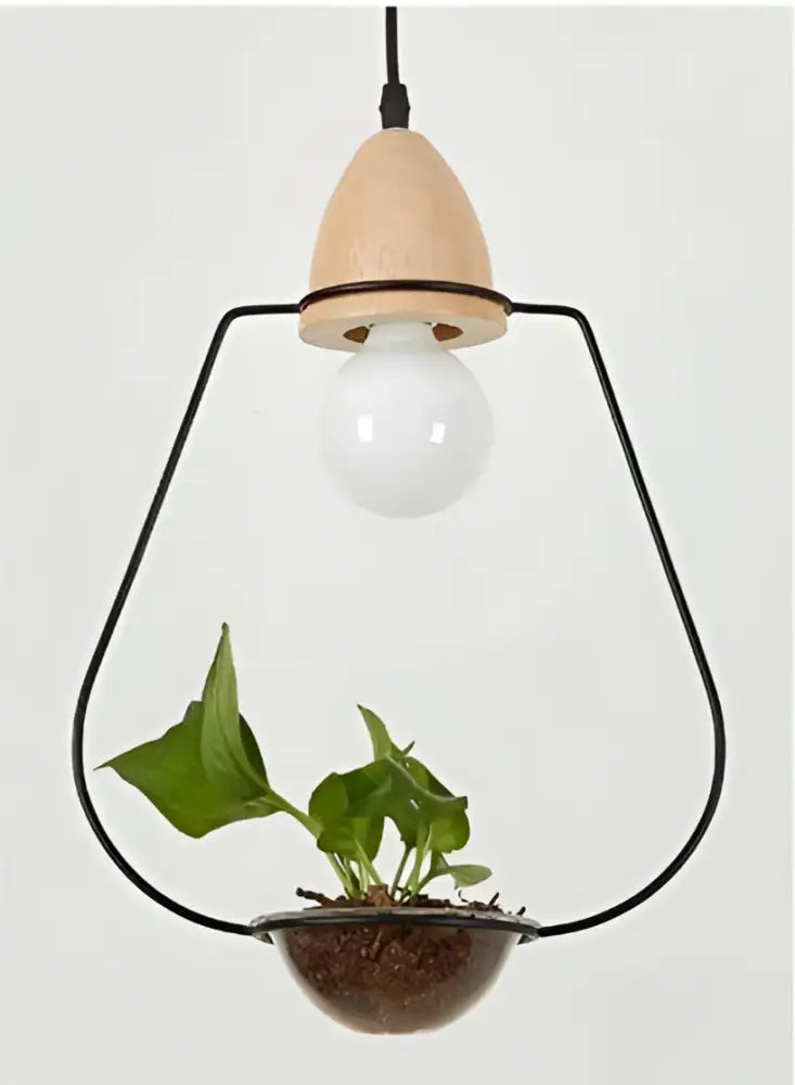 DecorBites™ modern pendant planter light with black wire frame, wooden top, clear glass globe, and terracotta pot housing plants