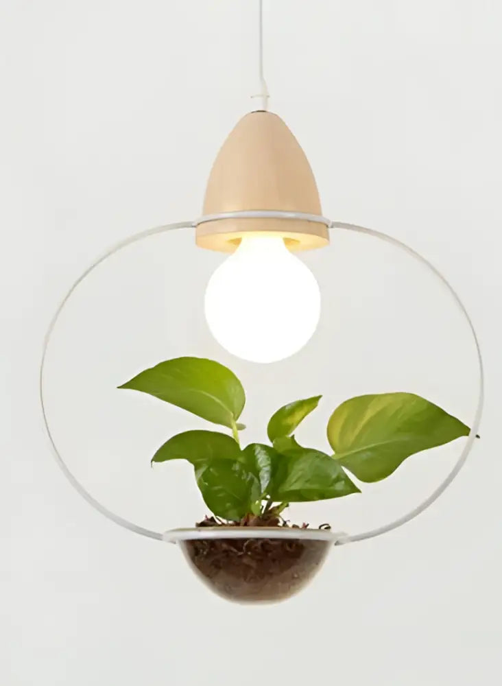 DecorBites™ pot pendant planter light with clear glass dome, wooden top, and exposed bulb illuminating a green plant