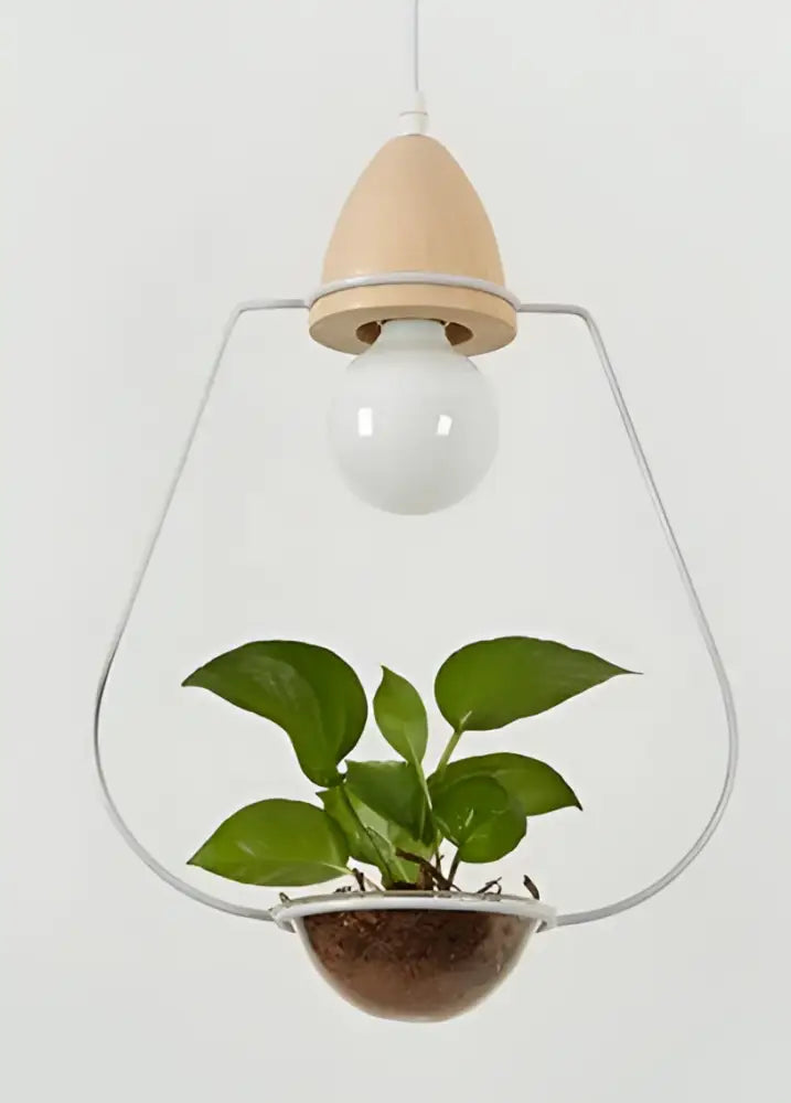 DecorBites™ pot pendant planter light with clear glass, wooden top, metal frame, and small green plant in brown pot