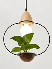 DecorBites™ pot pendant planter light with wooden conical shade black frame and green plant in brown ceramic bowl