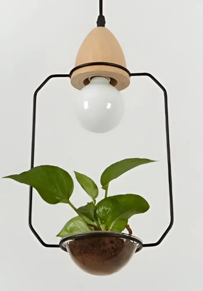 Decorbites™ pot pendant planter light with wooden conical top black metal frame and integrated plant in brown ceramic pot