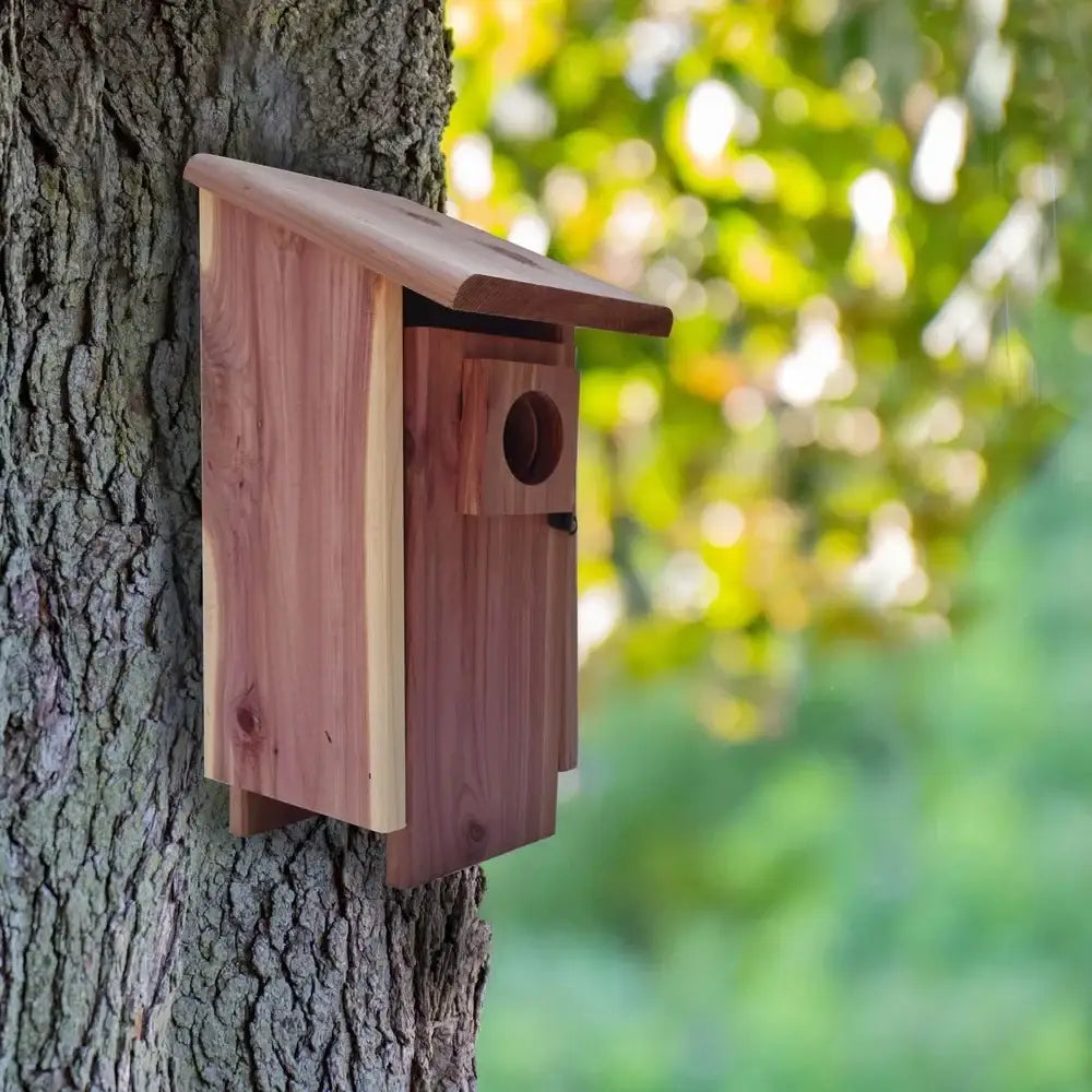 A rustic red cedar bluebird house with slanted roof and circular entrance mounted on a tree trunk by decorbites