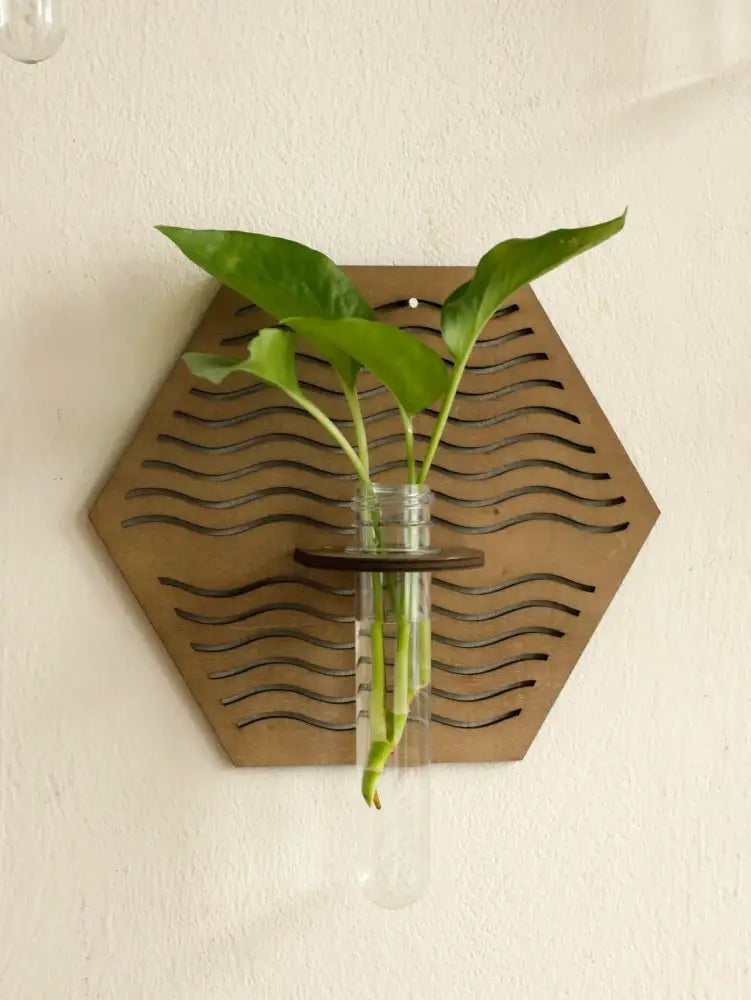 Hexagonal rustic wood wall vase with wavy cutout design holding glass test tube and green plant stems