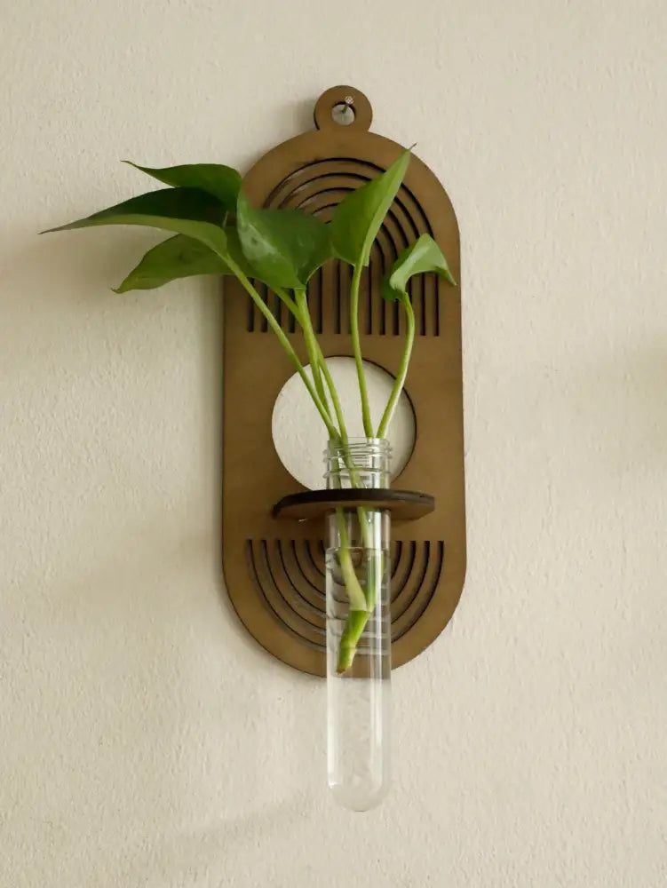 Decorbites™ rustic wood wall vase is a bronze wood wall vase with circular cutout holding a glass tube for greenery