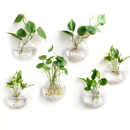 DecorBites™ self-watering glass terrarium set with clear spherical planters holding green plants and white pebbles