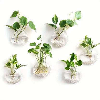 Decorbites™ self-watering glass terrarium set with clear spherical planters holding green vines and white pebbles