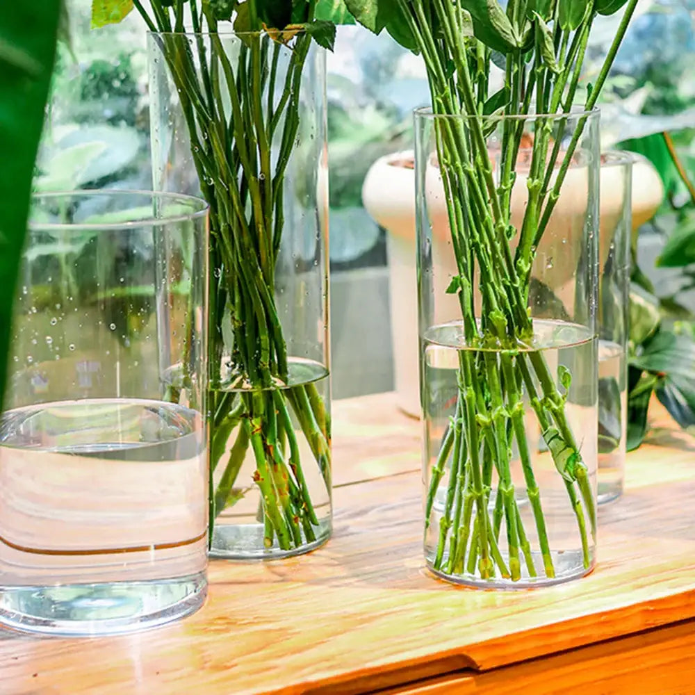 Decorbites™ shatterproof clear acrylic cylinder vase holding green stems in water showcasing acrylic cylinder design