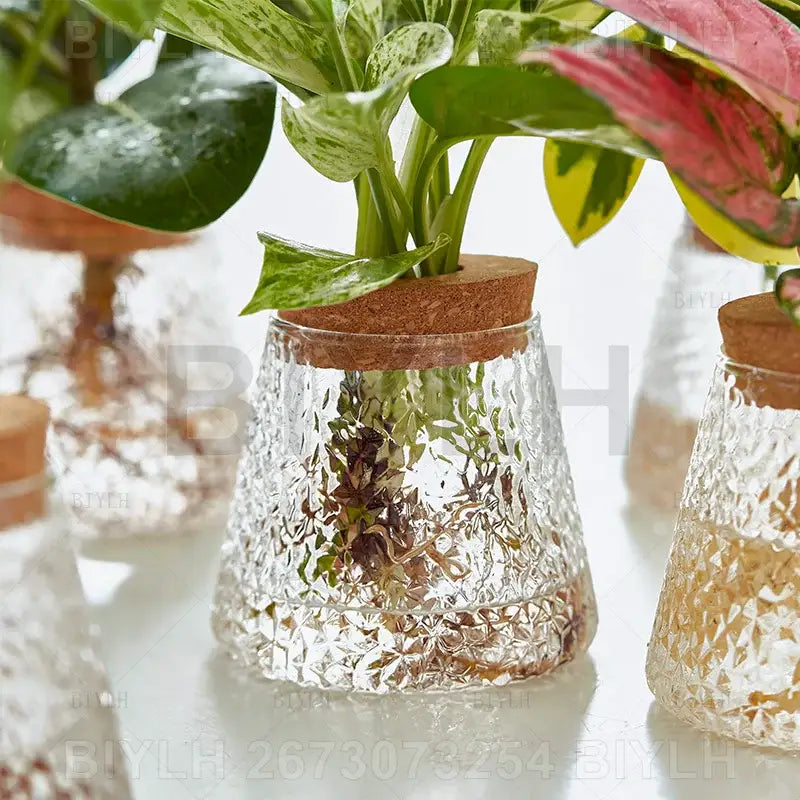 Decorbites™ small transparent glass vase with clear textured glass and cork lid holding water and greenery