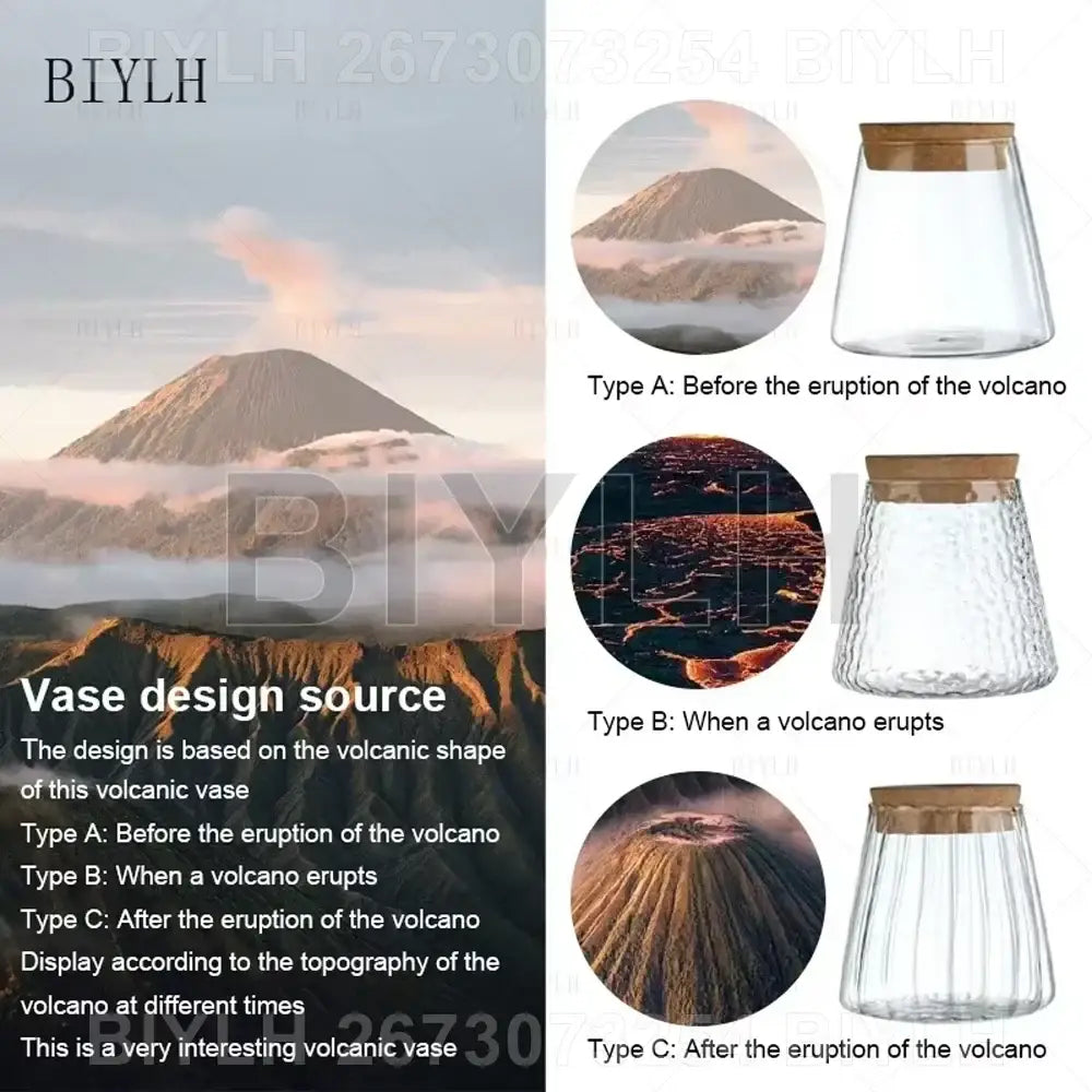 DecorBites™ small transparent glass vase with wooden lid featuring three textured designs inspired by volcanic eruption stages