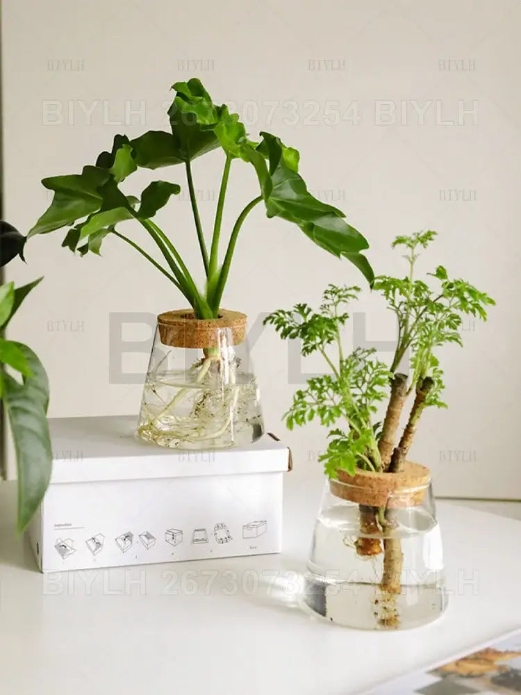 Decorbites™ small transparent glass vase with cork lids holding green leafy plants for home decor