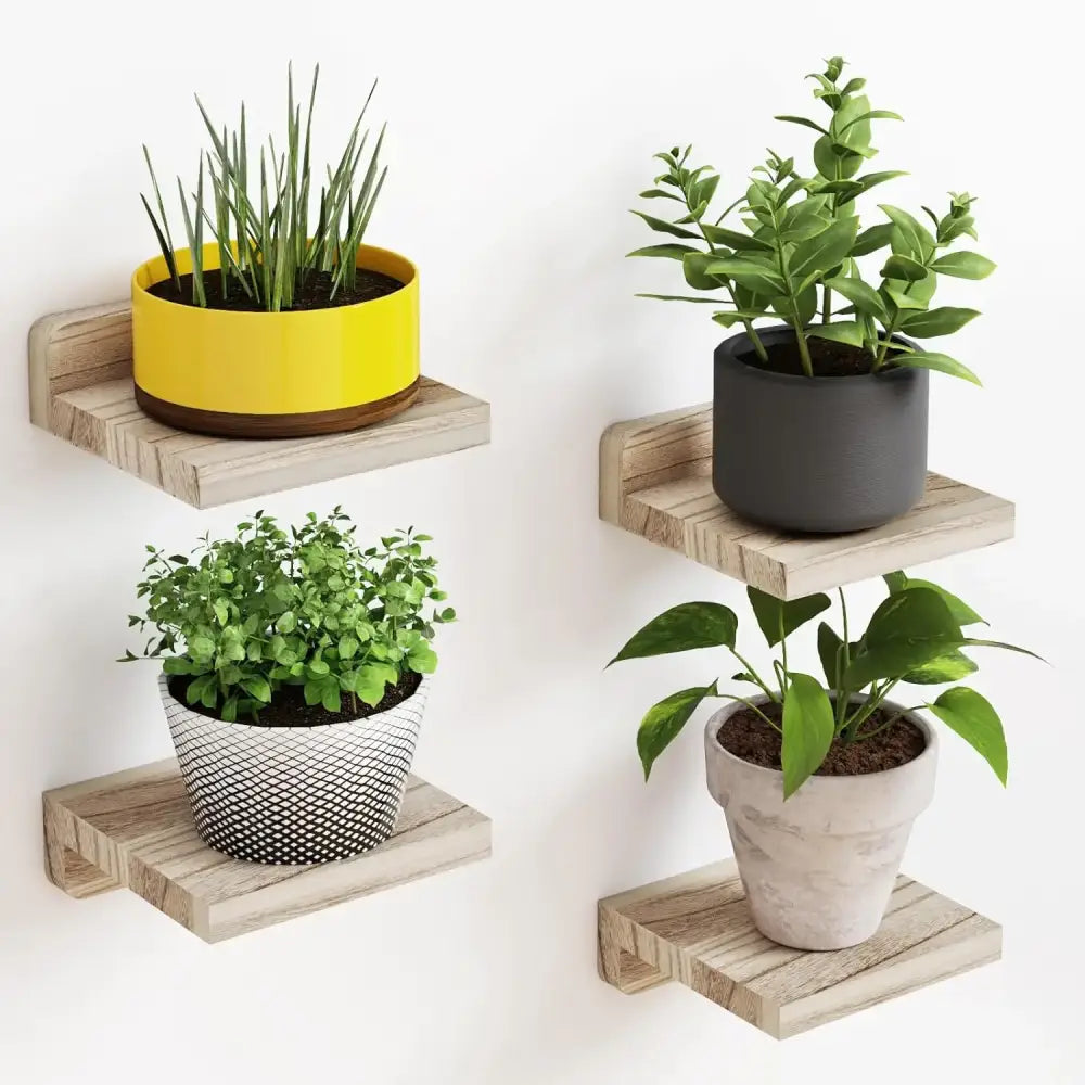 Set of four rustic wooden floating shelves 4-pack small floating shelves each with colorful potted plants in ceramic pots