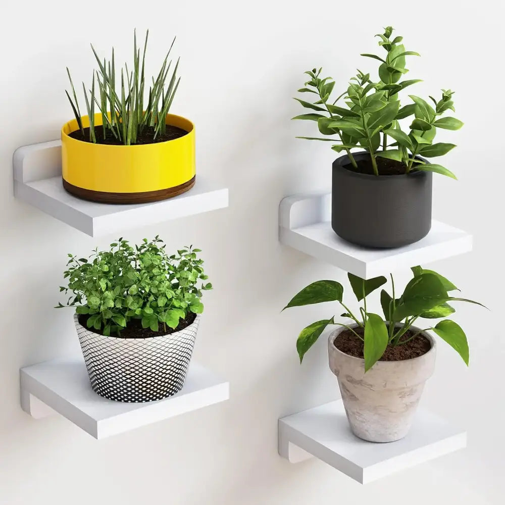 White wood decorbites™ small floating shelves 4-pack holding potted plants in colorful textured pots on white wall