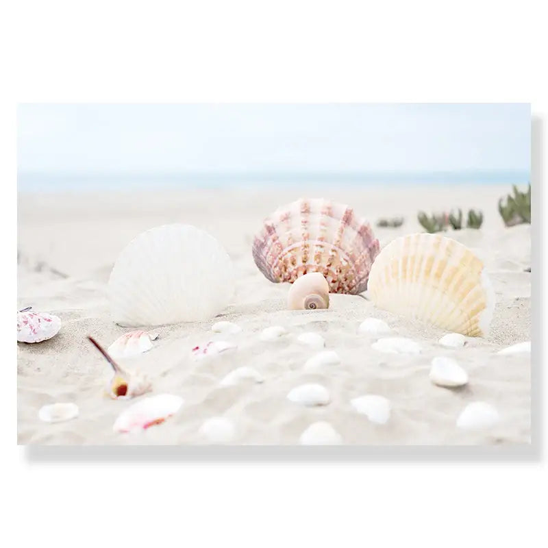 Decorbites summer beach seashell canvas wall art showing seashells on soft light-colored sand in a serene beach scene