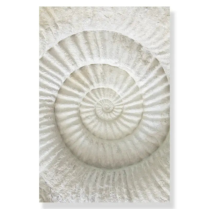Decorbites summer beach seashell canvas wall art featuring textured white stone wall with concentric spiral patterns