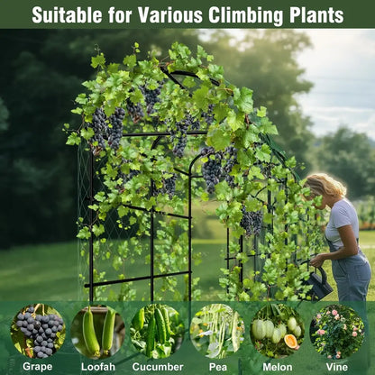 Black metal arched garden plant trellis with mesh panels supporting green vines and dark purple grapes by DecorBites™
