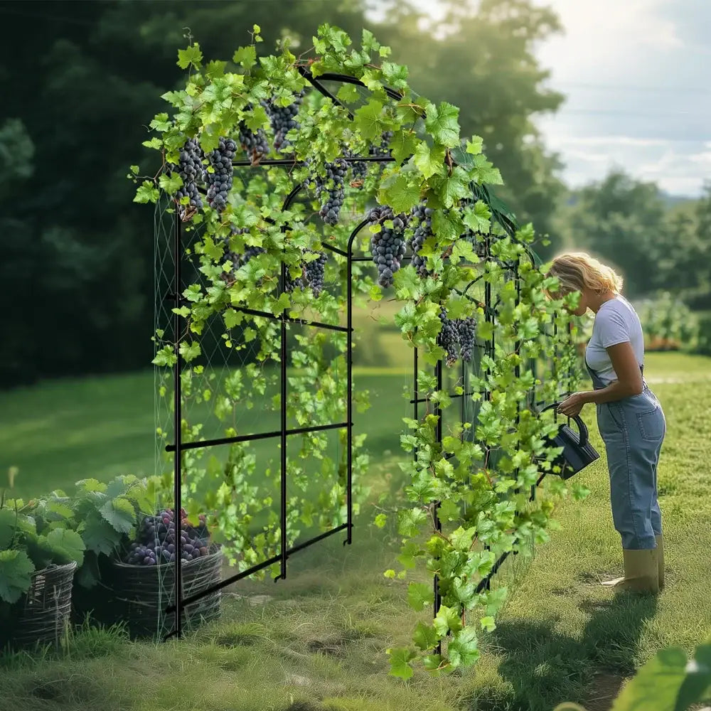 Black metal decorbites™ tall u-shaped garden plant trellis with lush green vines and dark purple grapes as garden plant trellis