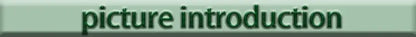Green rectangular banner with dark green text picture introduction for DecorBites toilet and bathroom storage rack space-saving design