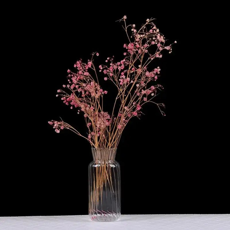 Decorbites™ transparent nordic vase made of clear glass with a faceted design holding pink dried baby’s breath flowers
