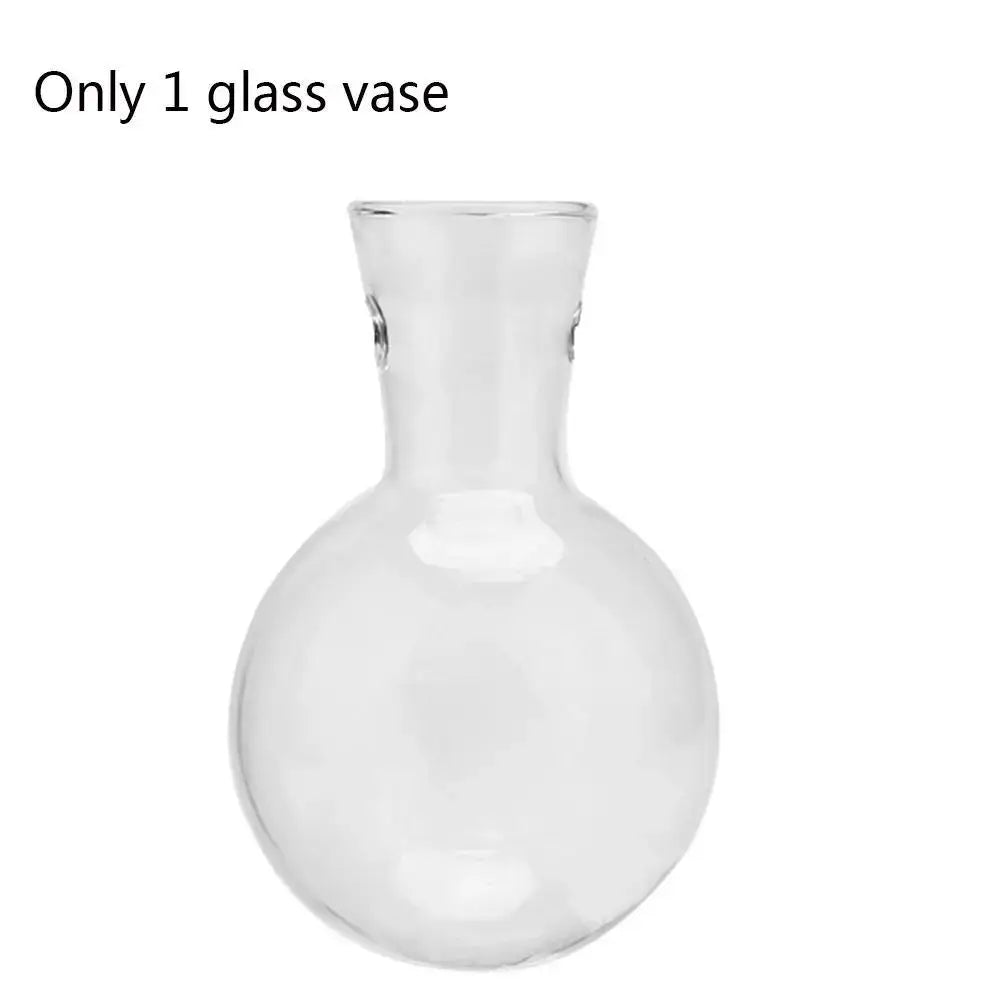 DecorBites™ vintage clear glass vase with rounded body and slender neck for hydroponic plant or bonsai flower pot use