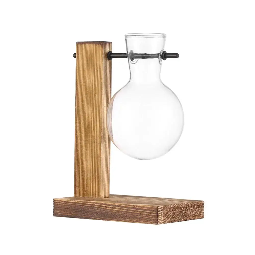 Clear glass hanging vase with rounded body and narrow neck on a rustic wooden stand for hydroponic plant display