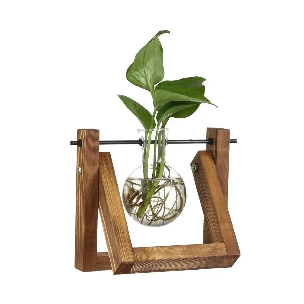 DecorBites™ vintage glass hydroponic plant vase with transparent bulbous base and wooden frame for bonsai flower pot