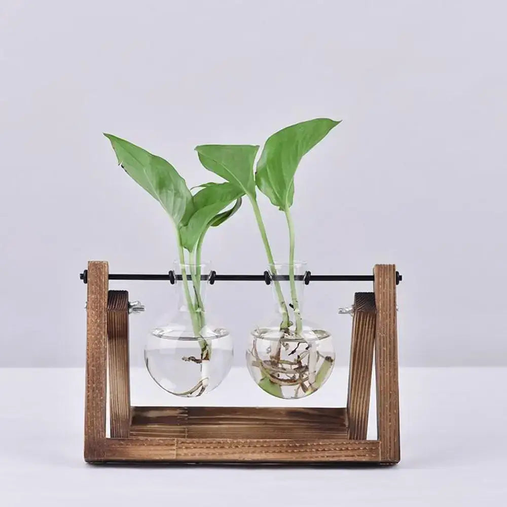 Wooden frame holding two clear glass vase hydroponic plant display for decorbites vintage bonsai flower pot tray