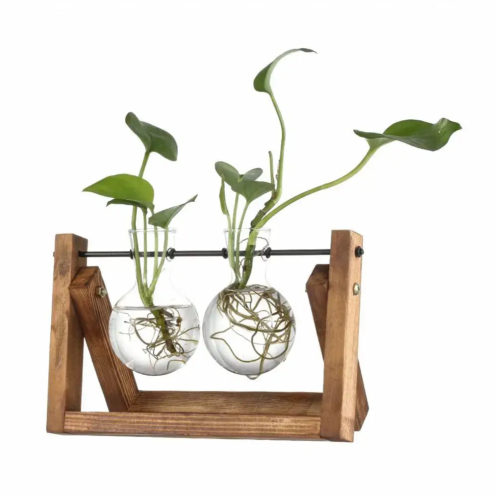 Wooden stand holding two clear glass vases with green hydroponic plants and visible roots decorbites vintage tray