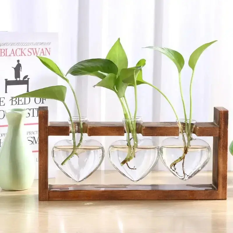 DecorBites™ vintage heart-shaped glass vase with green plants in clear water set in a wooden frame glass display