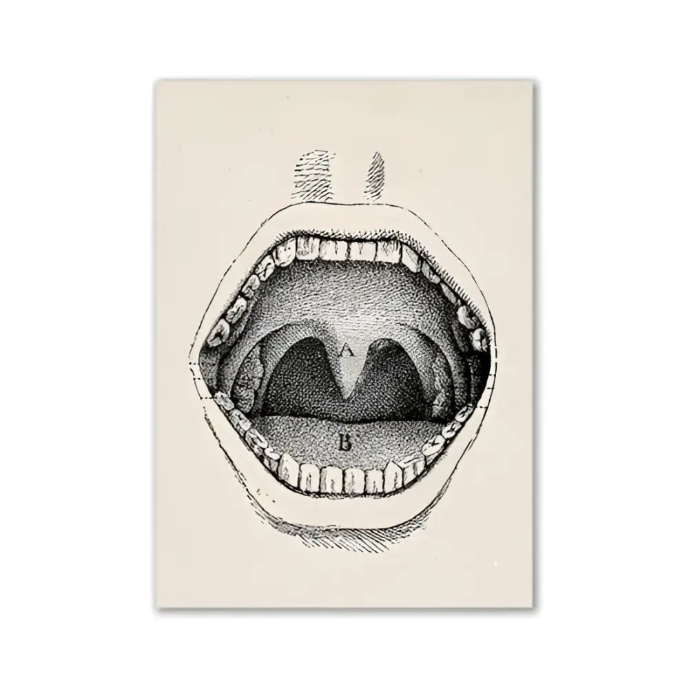 DecorBites™ vintage human anatomy canvas art print with an open mouth showing labeled tongue and throat structures