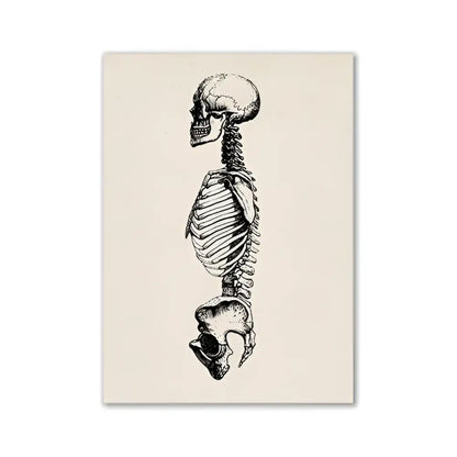 Detailed black-and-white vintage human anatomy skeleton illustration on off-white canvas in decorbites™ art print