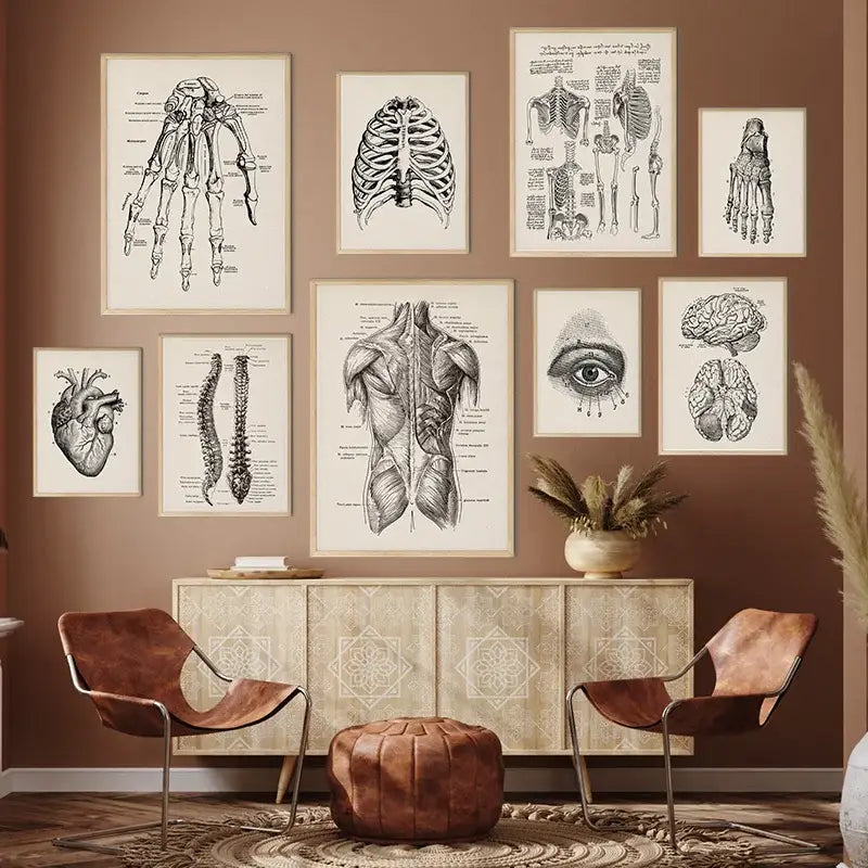 Set of nine vintage human anatomy canvas art prints featuring detailed black and white skeletal illustrations by DecorBites