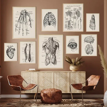Set of nine vintage human anatomy canvas art prints featuring detailed black and white skeletal illustrations by DecorBites