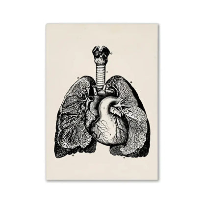 Decorbites™ vintage human anatomy canvas print featuring black and white lungs and heart illustration on cream canvas