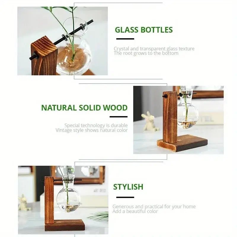 A clear glass two bulb vase with a rounded base on a rustic wood stand for desktop plant propagation by DecorBites