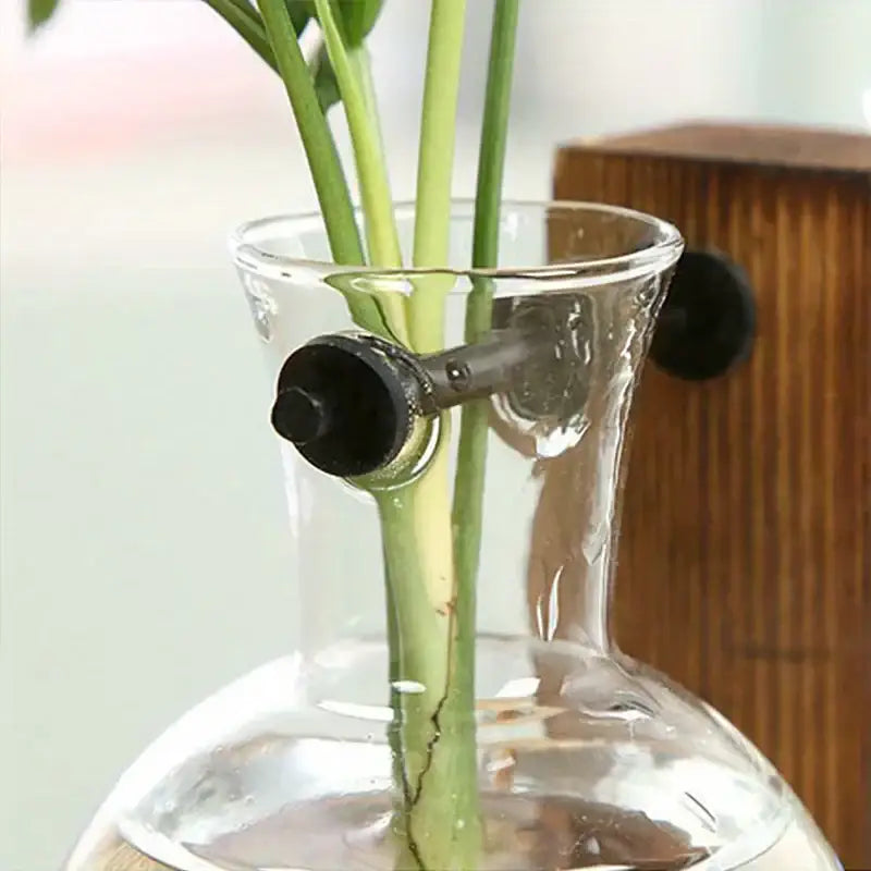 Decorbites™ vintage low style two bulb glass vase with black cylindrical water dispenser for desktop propagation