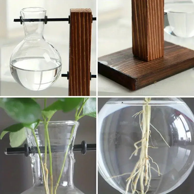 DecorBites™ vintage hydroponic glass vase with bulbous body and narrow neck on dark wood stand for low style desktop use