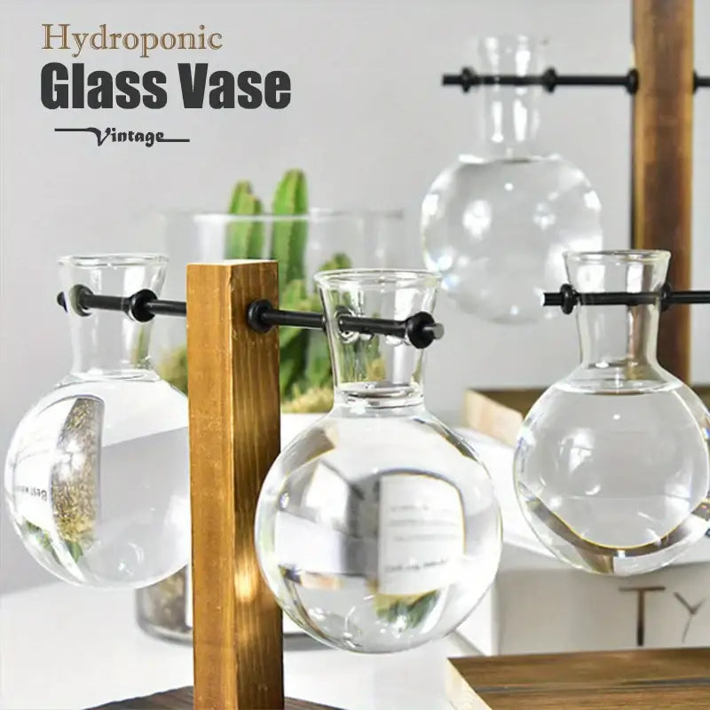 DecorBites™ vintage clear glass two bulb vases with narrow necks on wooden rack for low style plant propagation