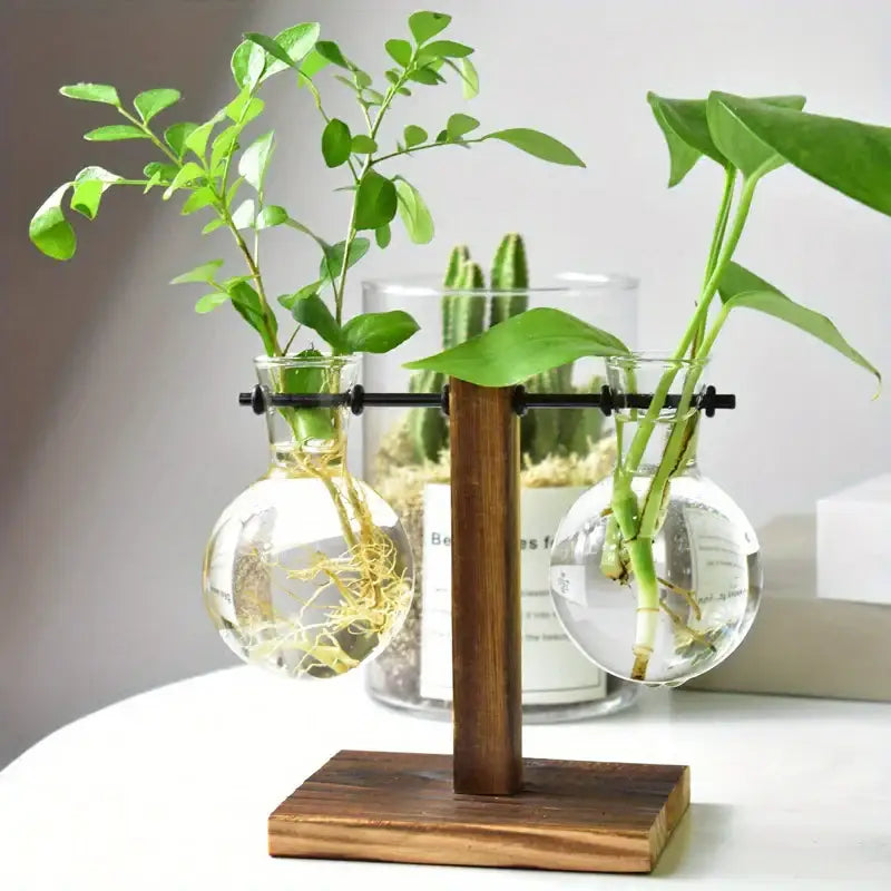 Decorbites™ vintage wooden stand with two clear glass spherical vases for low style desktop propagation with roots