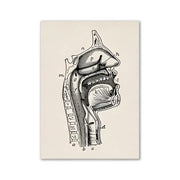 DecorBites™ vintage anatomy wall print showing a detailed black ink cross-section of the human head and neck