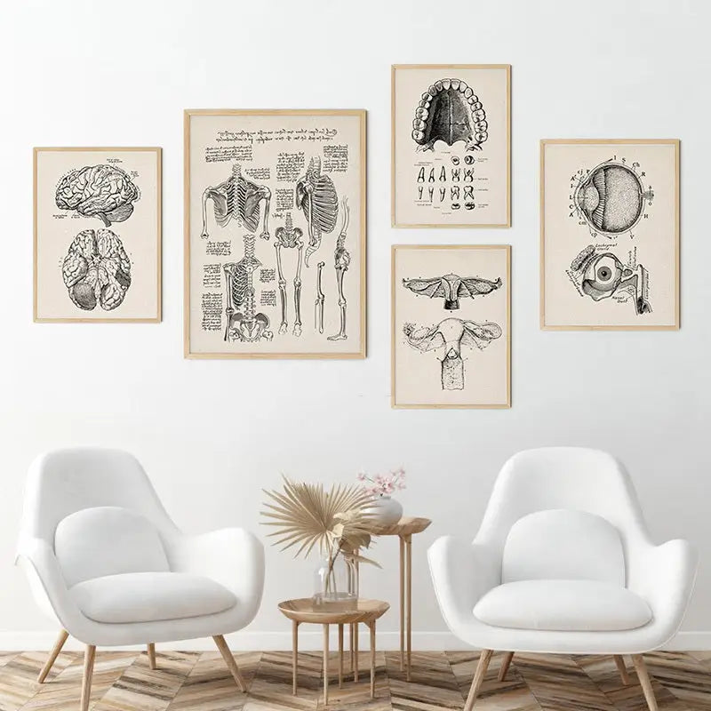 Set of five framed DecorBites vintage medical anatomy wall prints with detailed black and white illustrations on beige paper