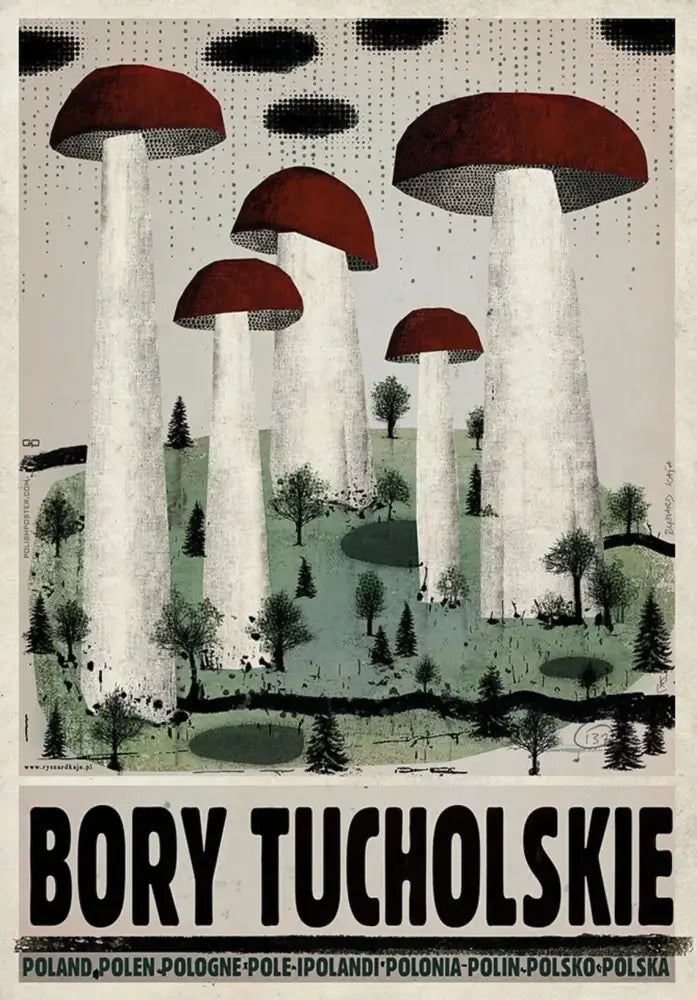 Vintage poland city posters canvas print featuring stylized red-capped mushrooms on a muted forest background