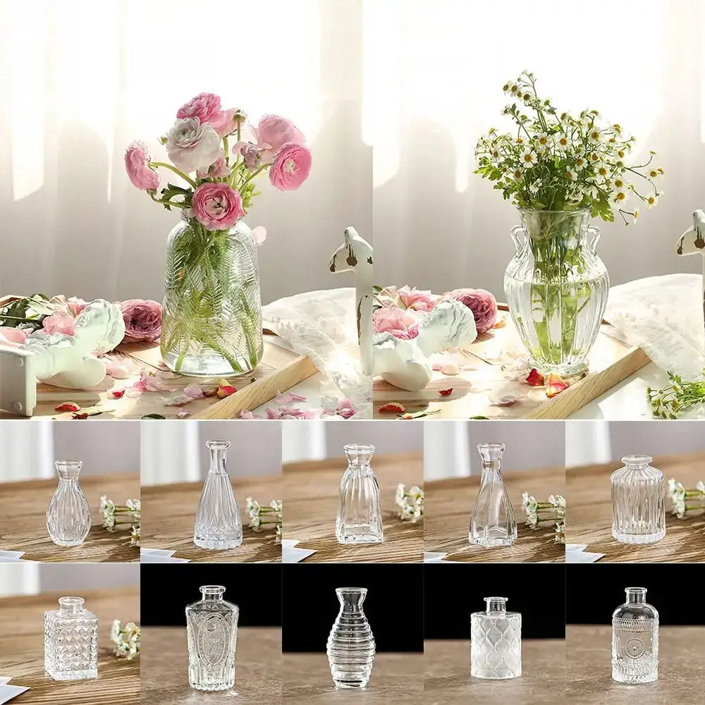 Clear glass DecorBites™ vintage relief vases with intricate etched patterns for hydroponic plants in soft light