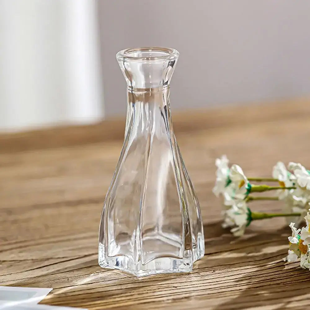 Clear glass DecorBites™ vintage relief vase with faceted geometric design and narrow neck for hydroponic plants