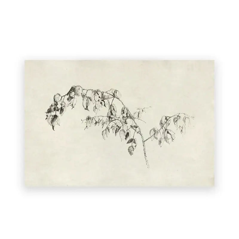 A delicate black ink sketch of a leafy branch on aged paper in decorbites vintage summer landscape canvas print
