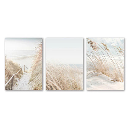 Set of three beige beach-themed white seascape canvas prints featuring tall grasses and coastal paths by DecorBites